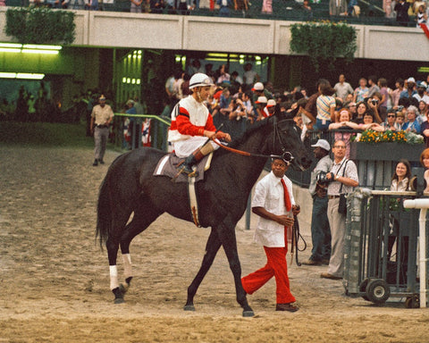 Ruffian Photographs