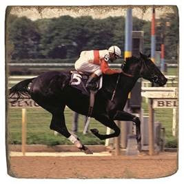 Ruffian Coaster